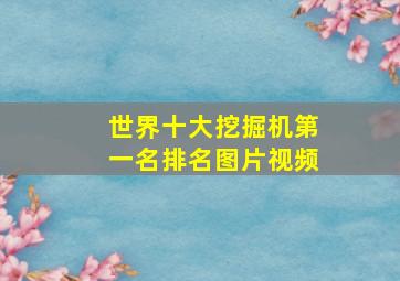 世界十大挖掘机第一名排名图片视频