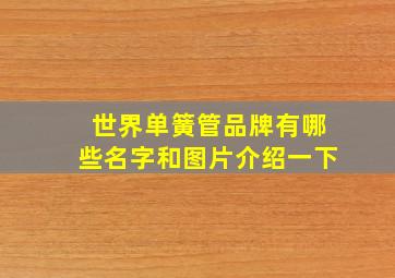 世界单簧管品牌有哪些名字和图片介绍一下