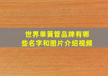 世界单簧管品牌有哪些名字和图片介绍视频