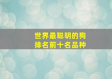 世界最聪明的狗排名前十名品种