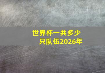 世界杯一共多少只队伍2026年