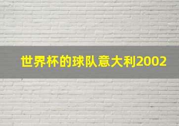 世界杯的球队意大利2002