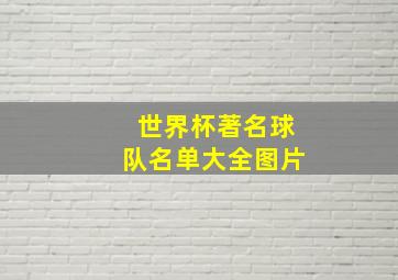 世界杯著名球队名单大全图片