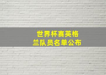 世界杯赛英格兰队员名单公布