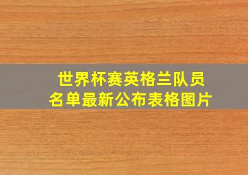 世界杯赛英格兰队员名单最新公布表格图片