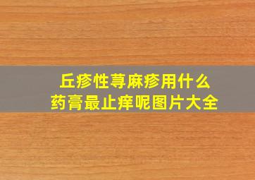 丘疹性荨麻疹用什么药膏最止痒呢图片大全