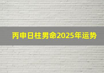 丙申日柱男命2025年运势