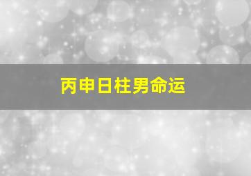 丙申日柱男命运