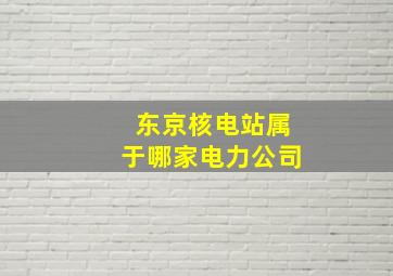 东京核电站属于哪家电力公司