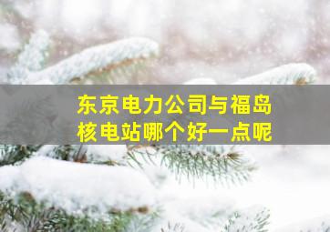 东京电力公司与福岛核电站哪个好一点呢