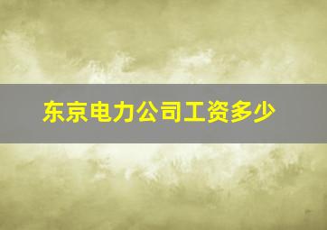 东京电力公司工资多少