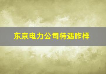 东京电力公司待遇咋样