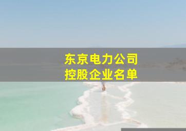 东京电力公司控股企业名单