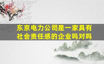 东京电力公司是一家具有社会责任感的企业吗对吗