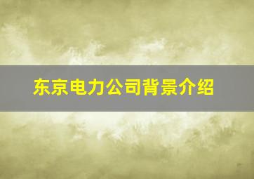 东京电力公司背景介绍