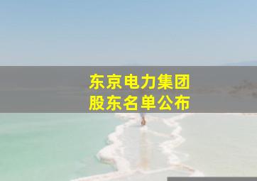 东京电力集团股东名单公布