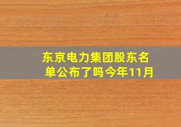 东京电力集团股东名单公布了吗今年11月