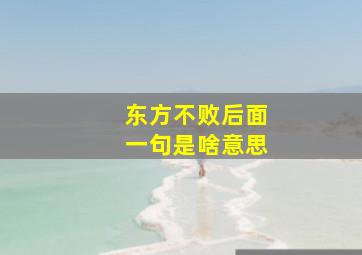 东方不败后面一句是啥意思