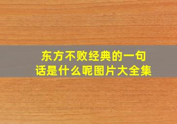 东方不败经典的一句话是什么呢图片大全集