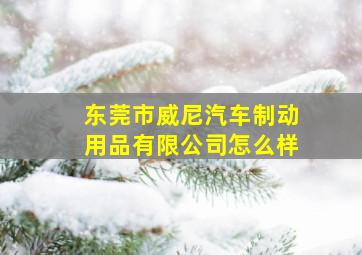 东莞市威尼汽车制动用品有限公司怎么样