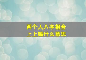 两个人八字相合上上婚什么意思