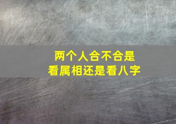 两个人合不合是看属相还是看八字