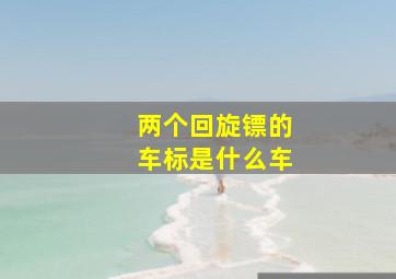 两个回旋镖的车标是什么车