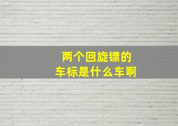 两个回旋镖的车标是什么车啊