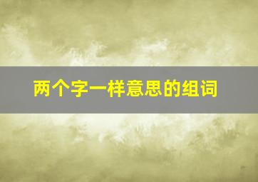 两个字一样意思的组词