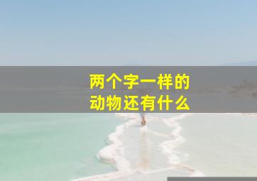 两个字一样的动物还有什么