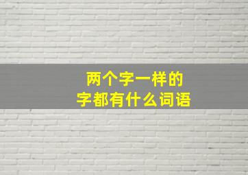 两个字一样的字都有什么词语