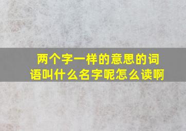 两个字一样的意思的词语叫什么名字呢怎么读啊