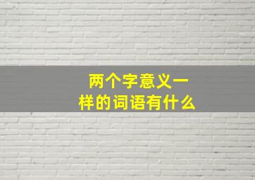 两个字意义一样的词语有什么