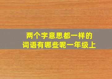 两个字意思都一样的词语有哪些呢一年级上