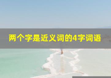 两个字是近义词的4字词语