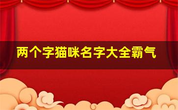 两个字猫咪名字大全霸气