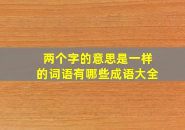 两个字的意思是一样的词语有哪些成语大全