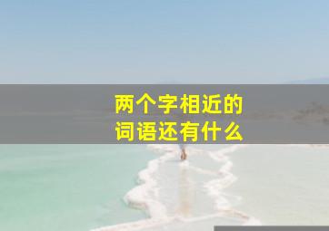 两个字相近的词语还有什么