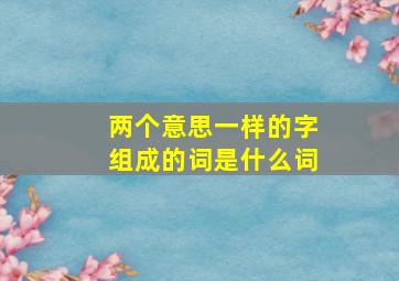 两个意思一样的字组成的词是什么词