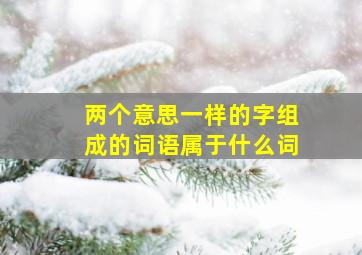 两个意思一样的字组成的词语属于什么词