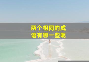 两个相同的成语有哪一些呢