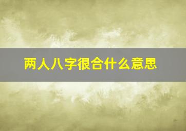 两人八字很合什么意思