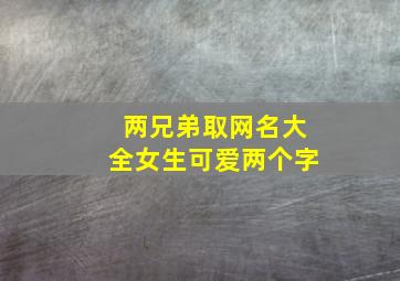 两兄弟取网名大全女生可爱两个字