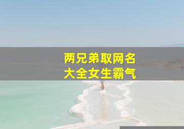 两兄弟取网名大全女生霸气