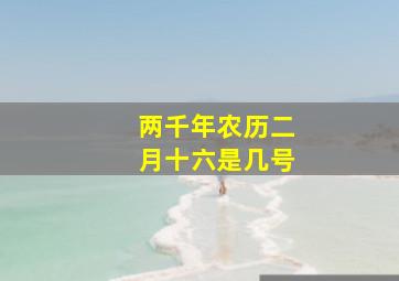 两千年农历二月十六是几号