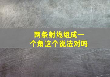 两条射线组成一个角这个说法对吗