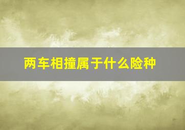 两车相撞属于什么险种