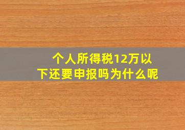 个人所得税12万以下还要申报吗为什么呢