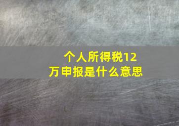 个人所得税12万申报是什么意思