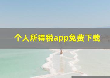 个人所得税app免费下载